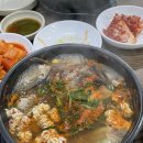 팔도강산동태찜 이미지