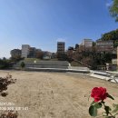 황송로 77번길 이미지