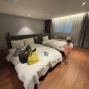 호텔(HOTEL)141 | 경주 황리단길 호텔 141미니호텔 슈페리어 트윈B 내돈내산