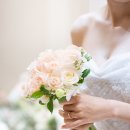 앤틱로즈 | 본식스냅 안산AW컨벤션 앤틱로즈스냅 서브스냅후기
