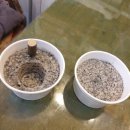 씨스터즈DIY