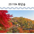 소통하는 나무 | 2025 광주시 곤지암 화담숲 단풍축제 현황 11/4 방문 후기