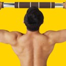 미드브로 이미지