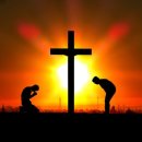 하윌라(Havilah) 이미지