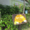 서문작은도서관 이미지