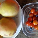 기미상궁 이미지