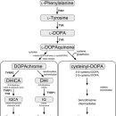 휴먼시아약국 이미지