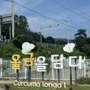 진도농협 특산품 판매장 | 진도 농협 특산품 판매장/울금스파