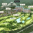 델피노숲 이미지