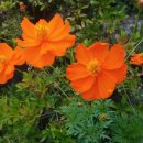 호미곶온천랜드 이미지