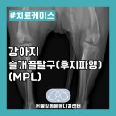어울림동물메디컬센터 네이버블로그