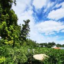 귤림하우스 이미지