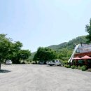 벚꽃나들버섯집 이미지