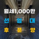 세교디오네프라자 이미지