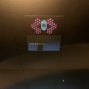 티에프알 | 동탄골프 매력에 푹 빠지게 만들어준 티에프골프 비스트로 후기
