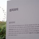 시원한 바람