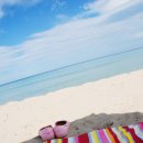 동해바다 이미지