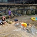 숲속의바다 숲속동 이미지