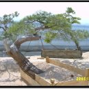 고양농장 이미지