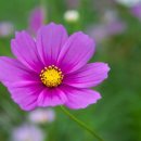 대송공원 이미지