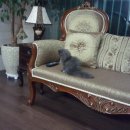 봉봉이 놀이터 이미지