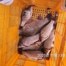 청도천4 이미지