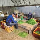 백모농장 이미지