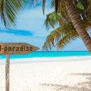 파라다이스 이미지