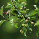 대전광역시청 이미지