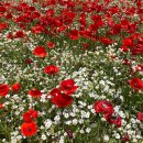 문수축구경기장 이미지