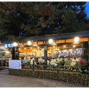 참숯싱싱생고기 | 오산맛집 제대로 찾은 날, 민들레화로에서 생고기와 참숯 향에 반해버린 방문 후기
