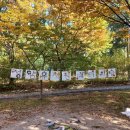 정암유치원 이미지