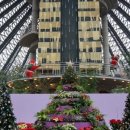 태성목장 2 이미지