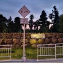 혼디가든 | 제주 중문흑돼지 맛집 혼디가든 메뉴 이용후기