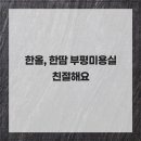 한올땀 네이버블로그