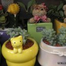 노란풍선 이미지