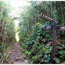 저동 여객선 터미널 옆 이미지