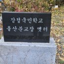 대강초 올산분교 이미지