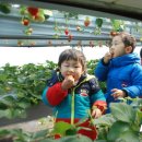 신의한수농장 이미지