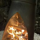 빈도롱이가 이미지