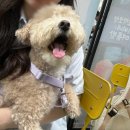 예지사