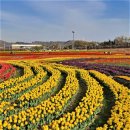 입석마을 입석 이미지