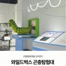 탐험대 | 인천 아이와 가볼만한곳, 월미도 와일드벅스 곤충탐험대 방문 후기