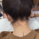 드자벨뷰티