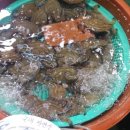 영찬농장 이미지