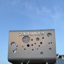 장생포고래박물관 | 🐳 [울산/장생포고래박물관] 장생포 고래박물관 불꽃 축제 후기