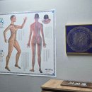 시흥 마사지 추천 '약손월드 시흥지부' 쾌장경락 힐링 후기