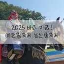 예천농산물 | 예천 활축제 농산물축제 후기: 놓치면 후회할 2025년 가을 최고의 지역축제