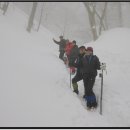 백두여행사 이미지