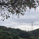 셀프골프 | 아도니스퍼블릭 라운딩 후기— 셀프 골프의 자유로움, 거리가 그 값을 묻는다